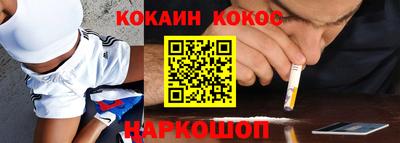 тгк Кингисепп