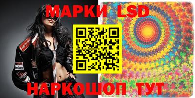 тгк Кингисепп