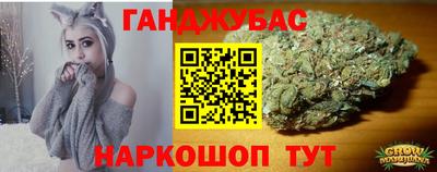 тгк Кингисепп