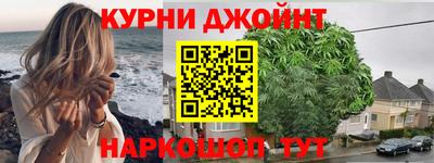 тгк Кингисепп