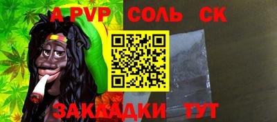 тгк Кингисепп