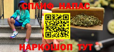 тгк Кингисепп