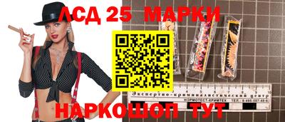 тгк Кингисепп