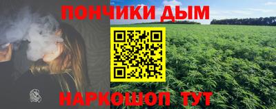 тгк Кингисепп
