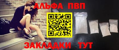 тгк Кингисепп