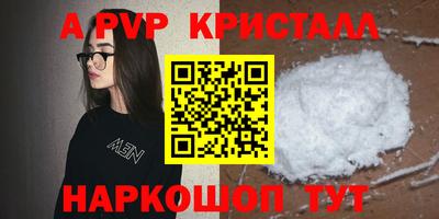 тгк Кингисепп