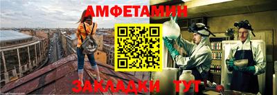 тгк Кингисепп