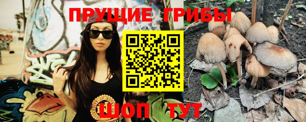 Галлюциногенные грибы Psilocybine cubensis  Вход с VPN  Крымск  как найти   Псилоцибиновые грибы Cubensis 